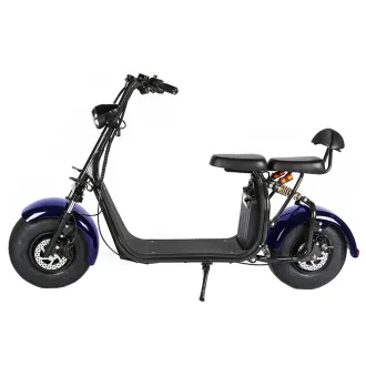 Scuter Electric RYDE