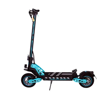RYDE 1200 Warrior